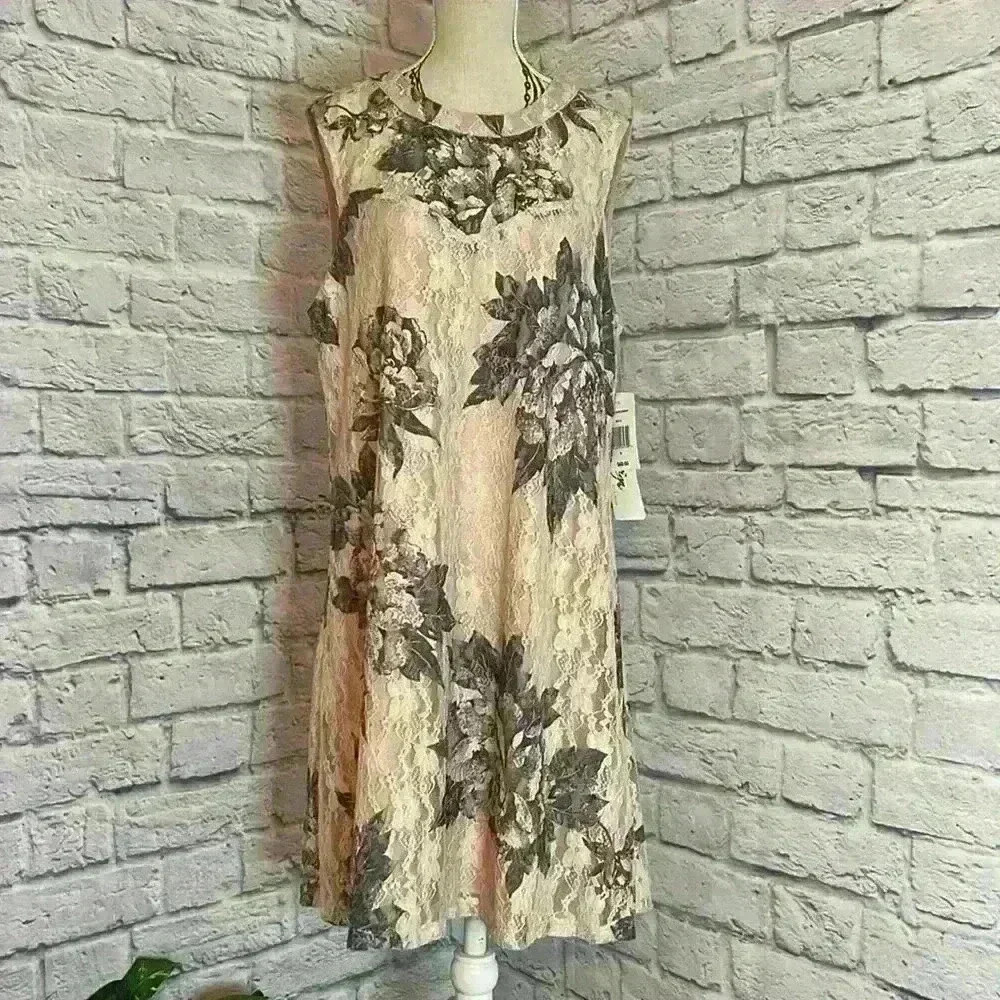 Love Reign Lace Sleeveless Dress Pink and Blue Size S